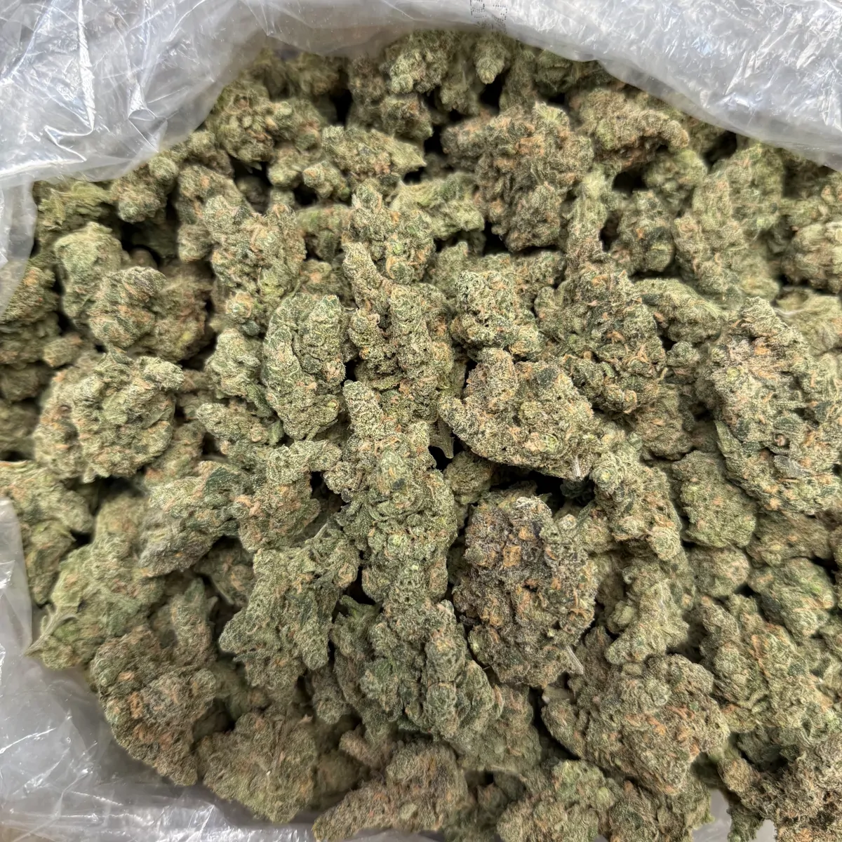 Blue Dream Flower
